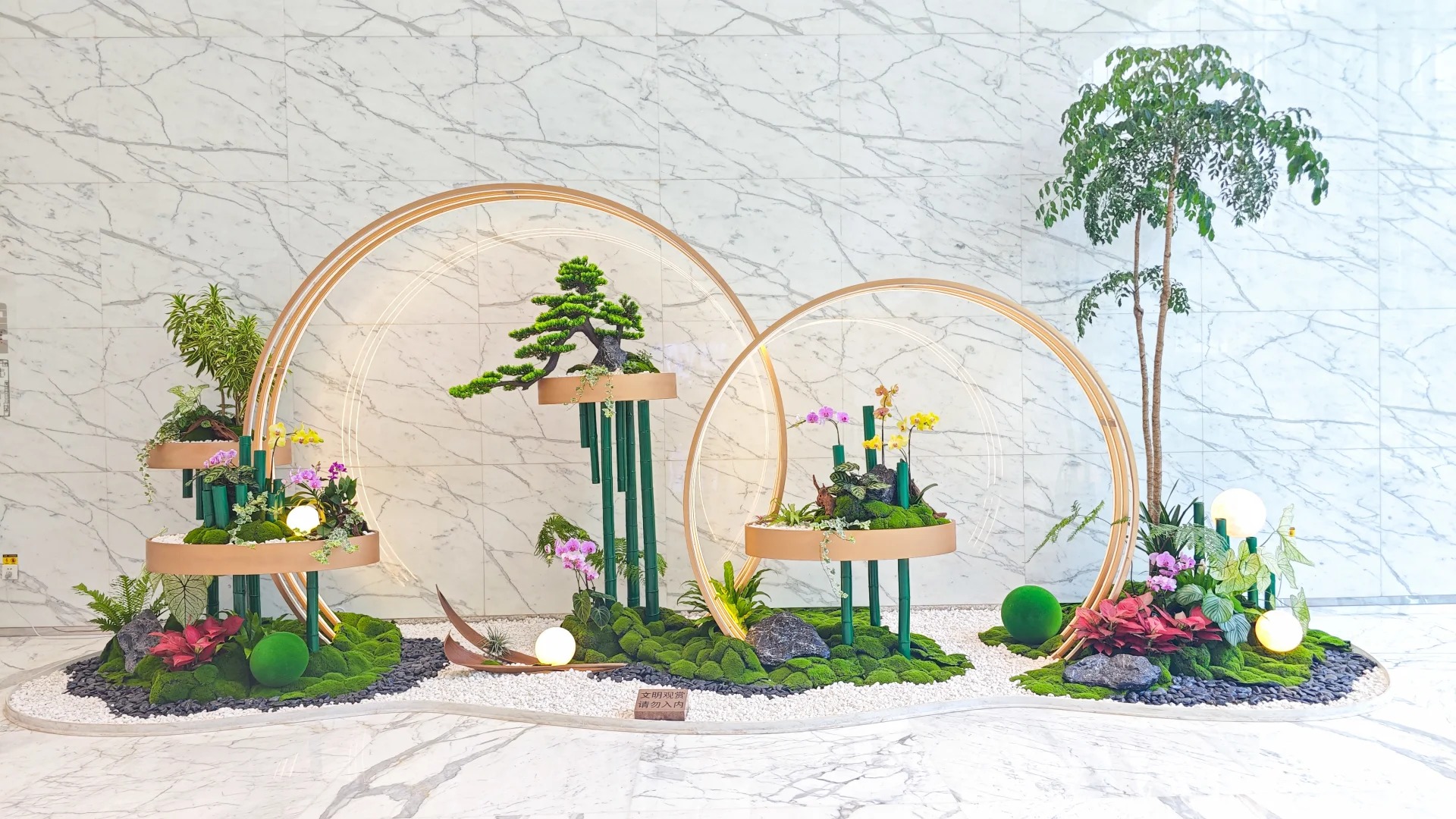 专业宁波植物租摆，为您营造别样清新环境